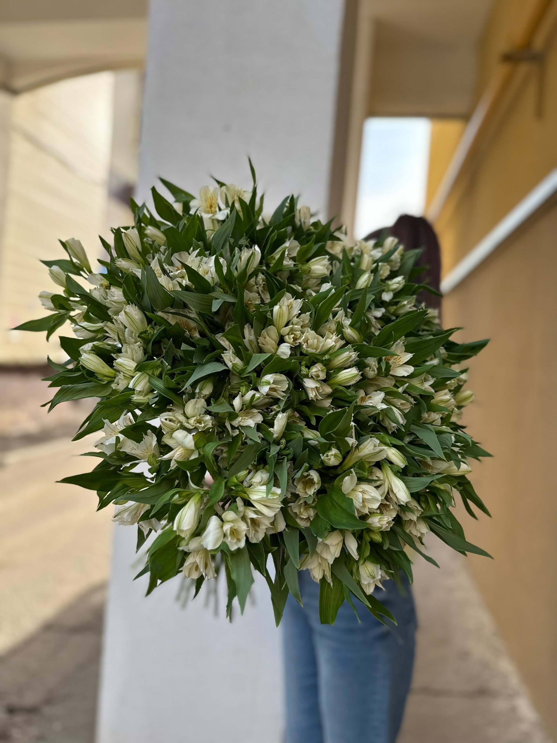 51 альстромерия в белоснежном оттенке на ленте! - фото 4