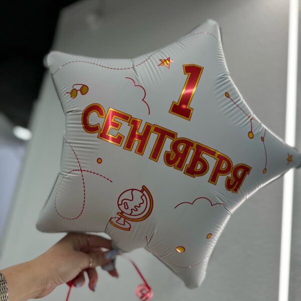 Воздушный шар 1 Сентября